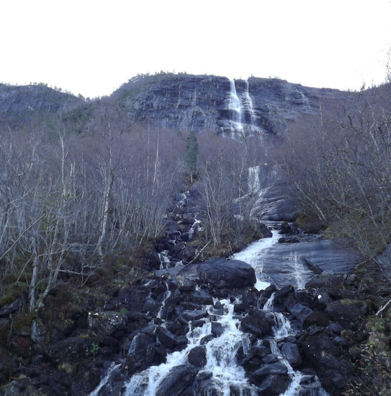 DSCF3665